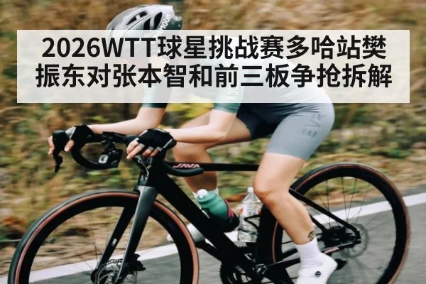 2026WTT球星挑战赛多哈站樊振东对张本智和前三板争抢拆解